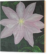 Clematis Wood Print