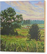 Country Landscape Wood Print
