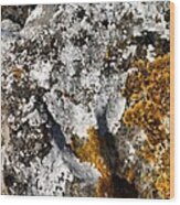 Cumbrian Lichens Wood Print