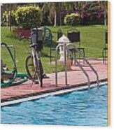 Cycle Near A Swimming Pool And Greenery Wood Print