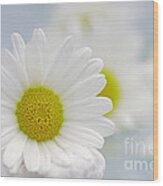 Daisy Sky Wood Print