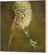 Dance Dandelions Dance Wood Print