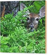 Deer In The Bush Wood Print