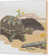 Desert Tortoise Wood Print