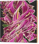 Digital Streak Image Of African Violets Wood Print