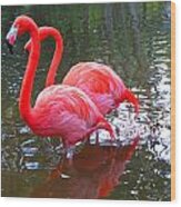 Double Flamingo Wood Print