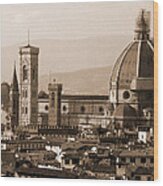 Duomo With Scaffolding Wood Print