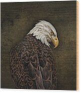 Eagle Profile Wood Print