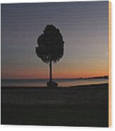 Eastern Sunset And Moon Rise Wood Print