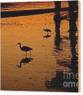 Egrets At Dusk Wood Print