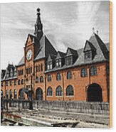 Ellis Island Train Station Wood Print