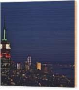 Empire State Building3 Wood Print