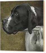 English Pointer Dog Portrait Wood Print