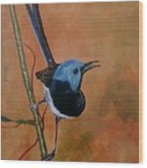 Fairy Wren Wood Print