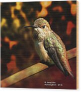 Fall Colors - Allens Hummingbird Wood Print