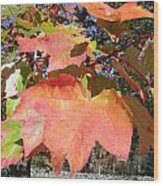 Fall Leaves Wood Print