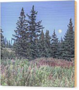 Fall Moon Wood Print