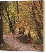 Fall Path Wood Print