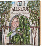 Fallbrook Avos Wood Print