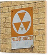 Fallout Shelter Wood Print