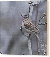 Field Sparrow Wood Print