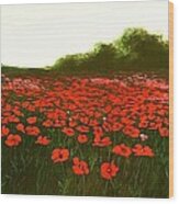 Fine Art Oil Painting Poppies Emerald Isle Wood Print