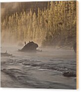 Firehole River At Sunrise Wood Print