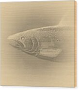 Fish 11 Wood Print