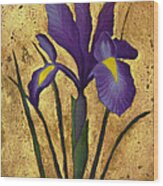 Flag Iris With Gold Leaf Wood Print