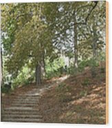 Flight Of Steps In Parc Des Buttes-chaumont Wood Print