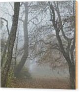 Fogy Forest In The Morning Wood Print