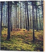 Forest In Cumbria Wood Print