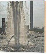 Fountain And Monument Wood Print