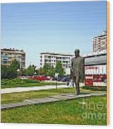 The Monument Of Kosta Stamenkovic Leskovac Wood Print