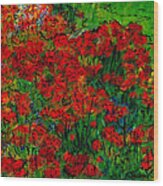 French Poppies Wood Print
