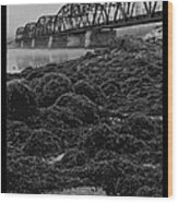 Frenchmans Bay Rr Bridge Wood Print
