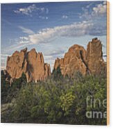 Garden Of The Gods Trail Ii Wood Print