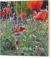 Garden Of The Poppy Fairies Wood Print