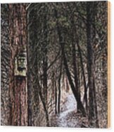Gently Into The Forest My Friend Wood Print