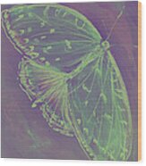 Go Green Butterfly Wood Print