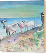 Goats In Agia Galini Wood Print