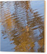 Gold And Blue Reflections Wood Print by Michelle Wrighton