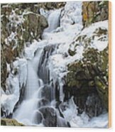 Goldmine Falls Wood Print