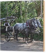 Good Hope Estate Horse And Carriage Wood Print