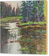 Goose Cove In Acadia Wood Print