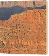 Grand Canyon 54 Wood Print