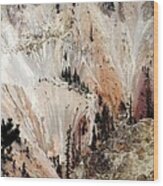 Grand Canyon Of Yellowstone Vertical Wood Print