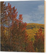 Grand Mesa Wood Print