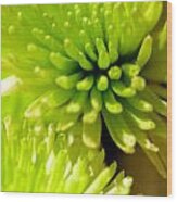 Green Alien Flower Wood Print