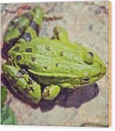 Green Frog Sitting On Stone Wood Print